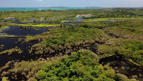 Aerial-approach-to-bridge-in-the-wetlands-of-mangrove-forest,-ocean-and-islands-in-the-background,-Botanical-Garden-In-Rayong,-Thailand-jib-down-shot