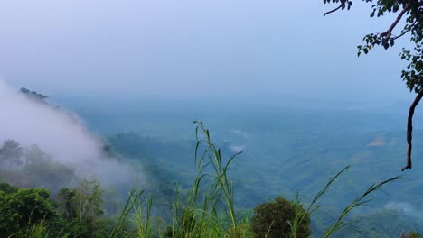 looking down into a moody and foggy remote valley with forest everywhere and fog slowly moving down with grass and trees in the foreground in bandarban, bangladesh