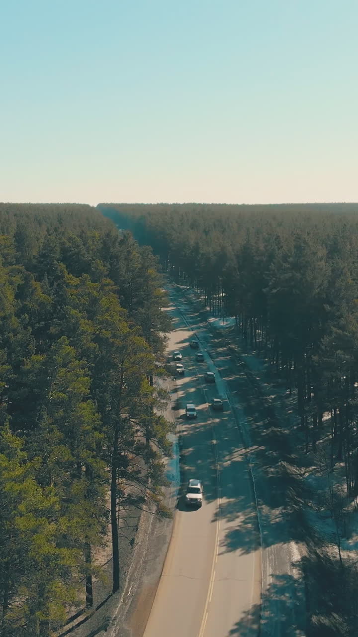 asphalt road with driving cars and pine tree shadows among green dense forest under blue sky upper view