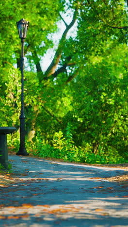 serene park path with lush greenery