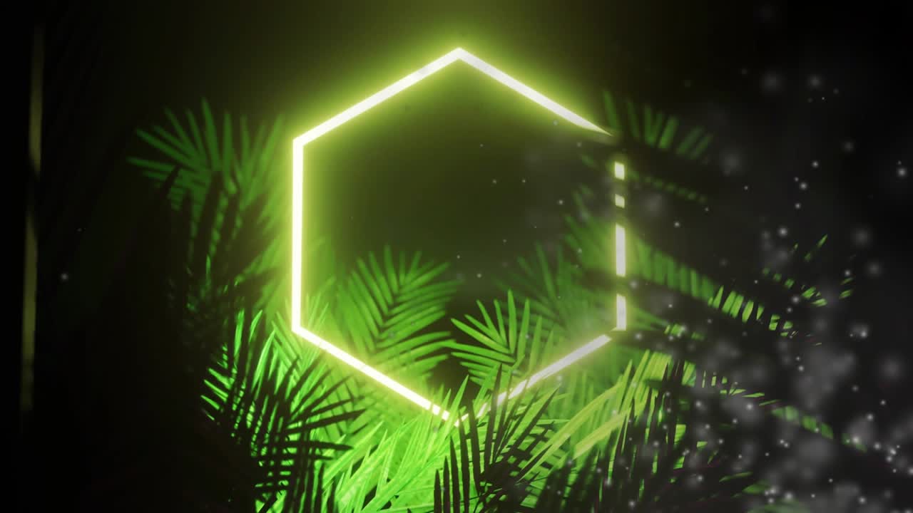 Drifting white specks from right starting neon hexagon fading as palm fronds rising lighting void