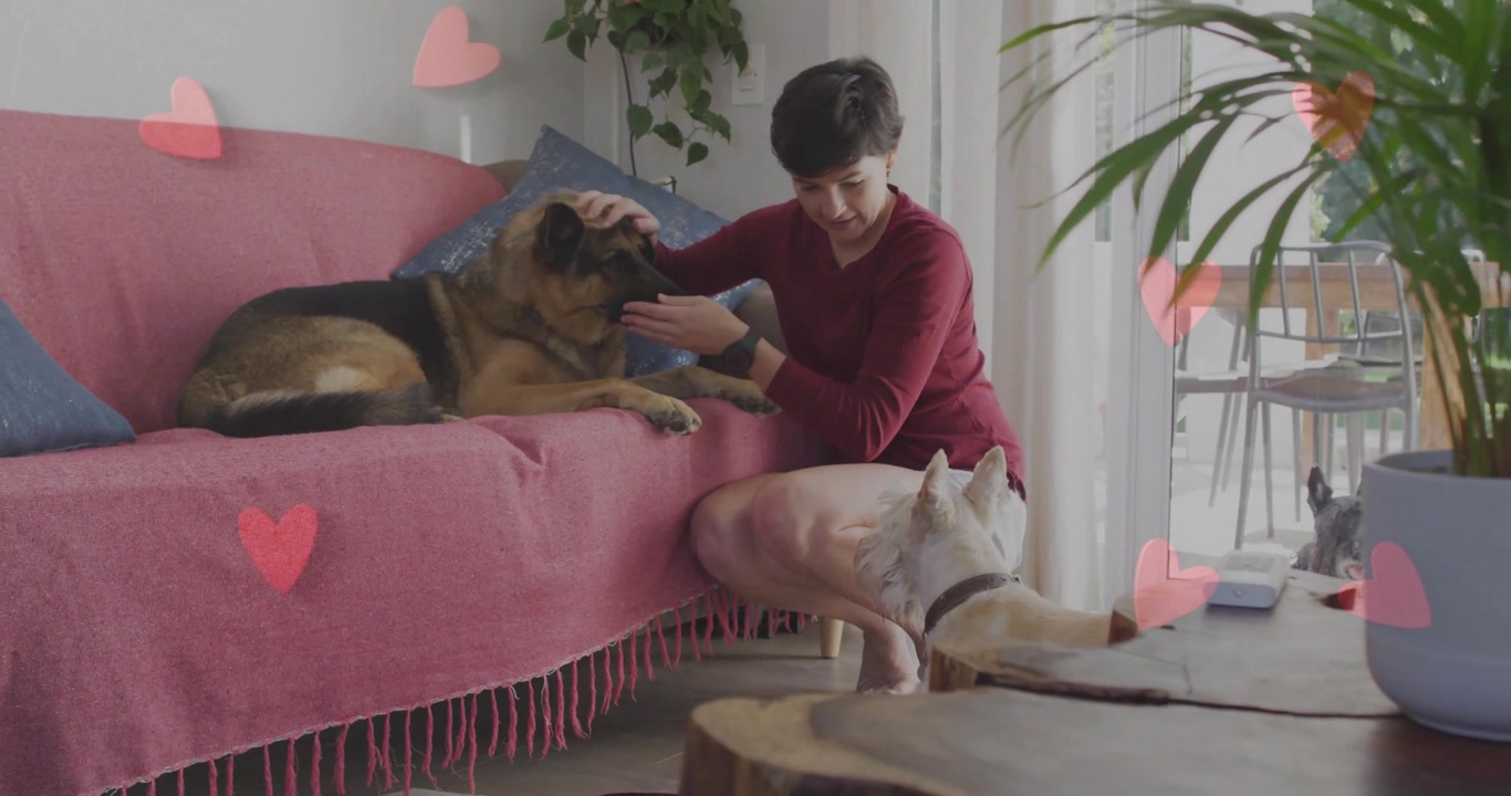 ペットの健康を示すピンクのハートのアニメーションと共に、犬を撫でようと手を伸ばし、おやつを差し出し、犬を可愛がる女性。