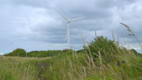 rise up through grasses revealing spinning wind turbine against cloudy sky