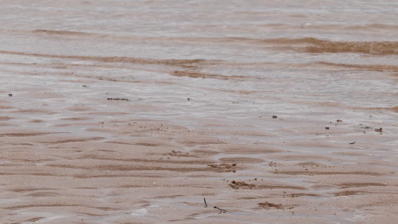 Overcast daylight, static wide shot of calm waves meeting rippled sand on Scottish beach