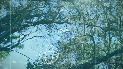 mathematical equations and formulas animation over tree branches and blue sky