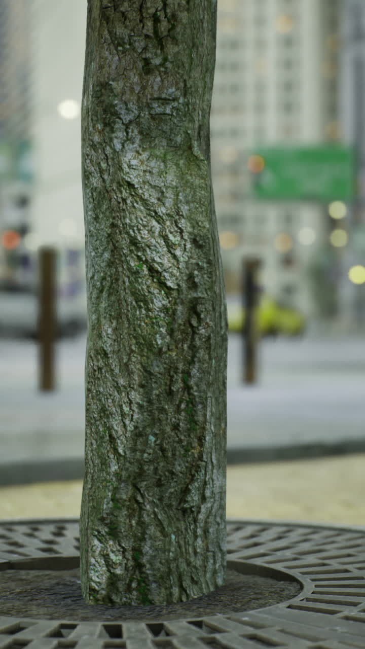 Urban tree surrounded by cityscape showcases nature amid architecture