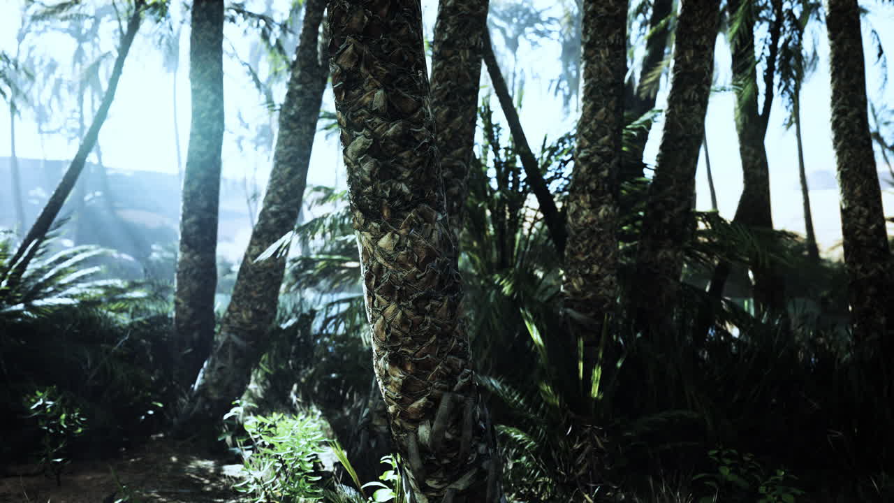 el sendero del oasis de las palmas es una de las muchas caminatas populares en el parque nacional