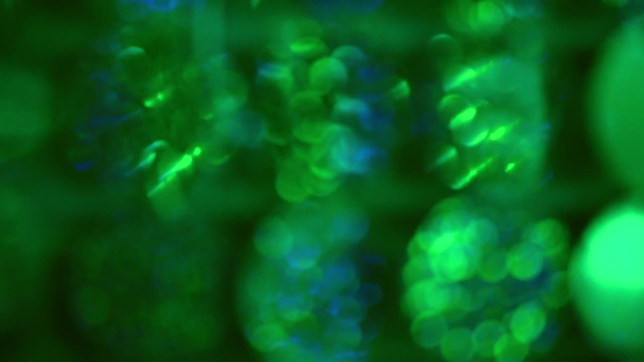 추상적인 다채로운 원, 휴일의 배경