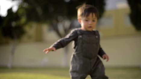 little baby boy walking at the park on a warm sunny afternoon