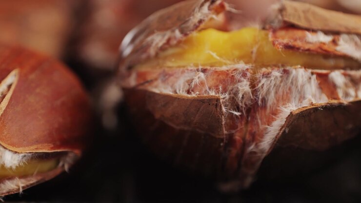 Macro Close-up of Roasted Chestnuts