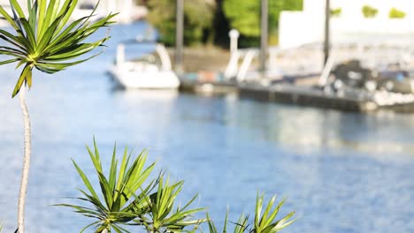 boats docked on a serene river