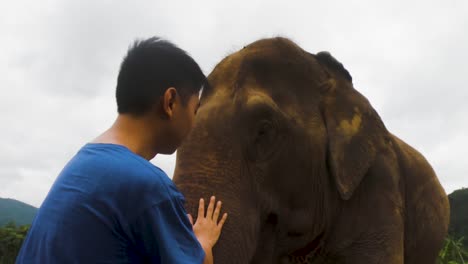 man bonding with an adorable elephant in the sanctuary in chiang mai, thailand - close up slowmo