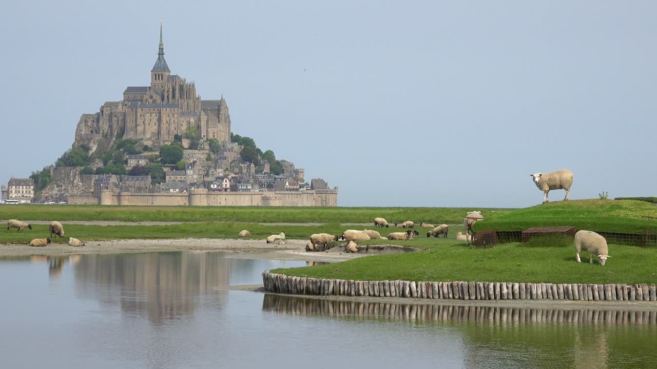 campos de ovelhas e grama de fazenda com mosteiro mont saint michel em normandie frança fundo 3