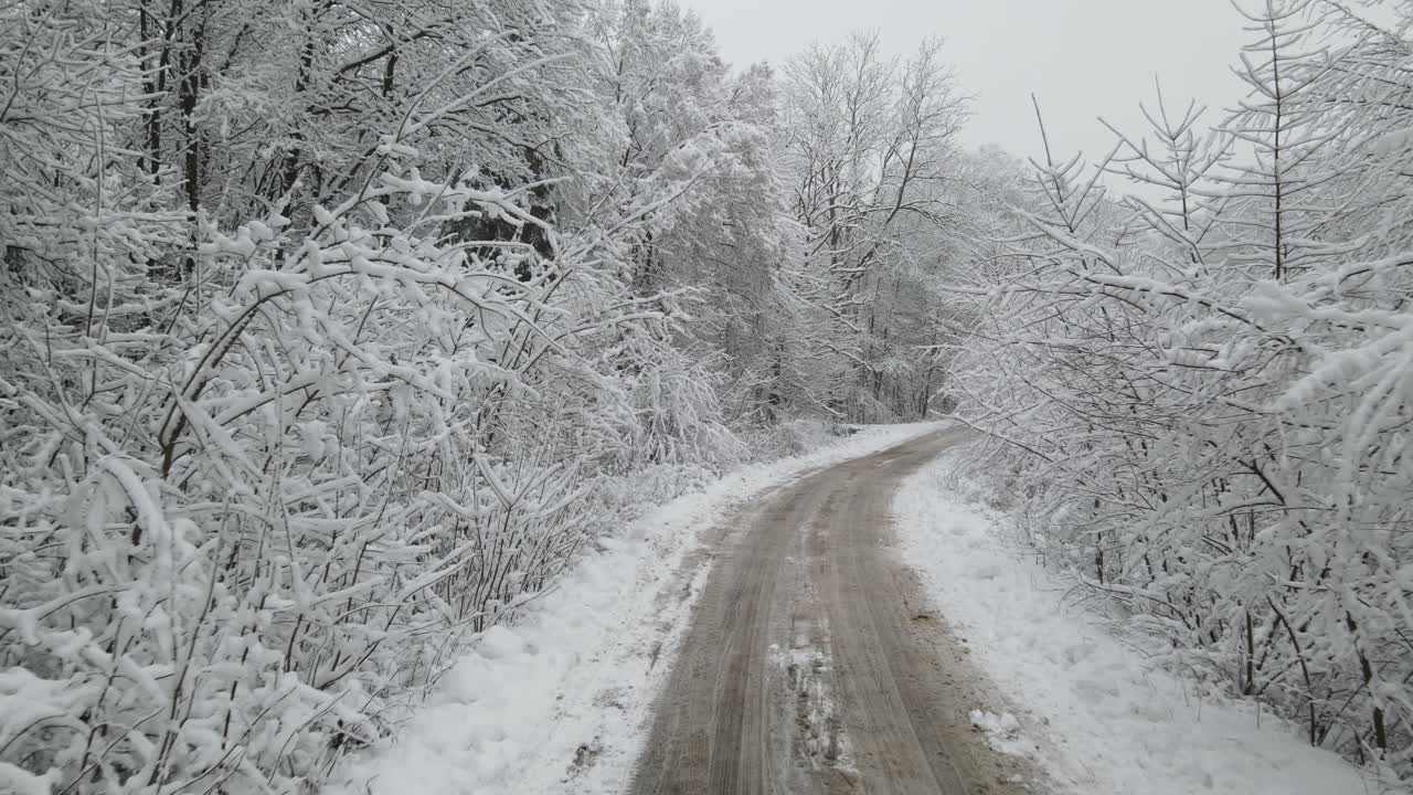 겨울에 폴란드의 얼어붙은 숲의 중심에 있는 거친 도로 경로 - 이동 샷