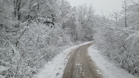 Rough-Road-Path-At-The-Center-Of-A-Frozen-Forest-In-Poland-In-Winter---moving-shot