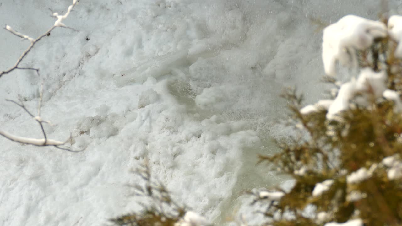 caída de agua congelada de un acantilado en la naturaleza invernal nevada en un bosque de coníferas