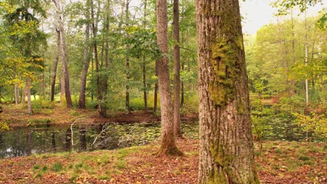 Gulbene-Stadtteich-Und-Park