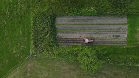viejo tractor anaranjado del tiempo soviético arando un campo en un campo y preparándose para plantar papas