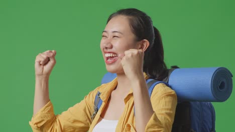 흥분된 여행자