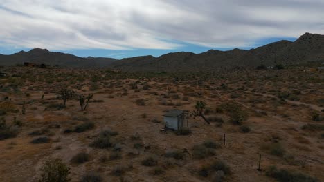 joshua tree national park in scenic mojave desert