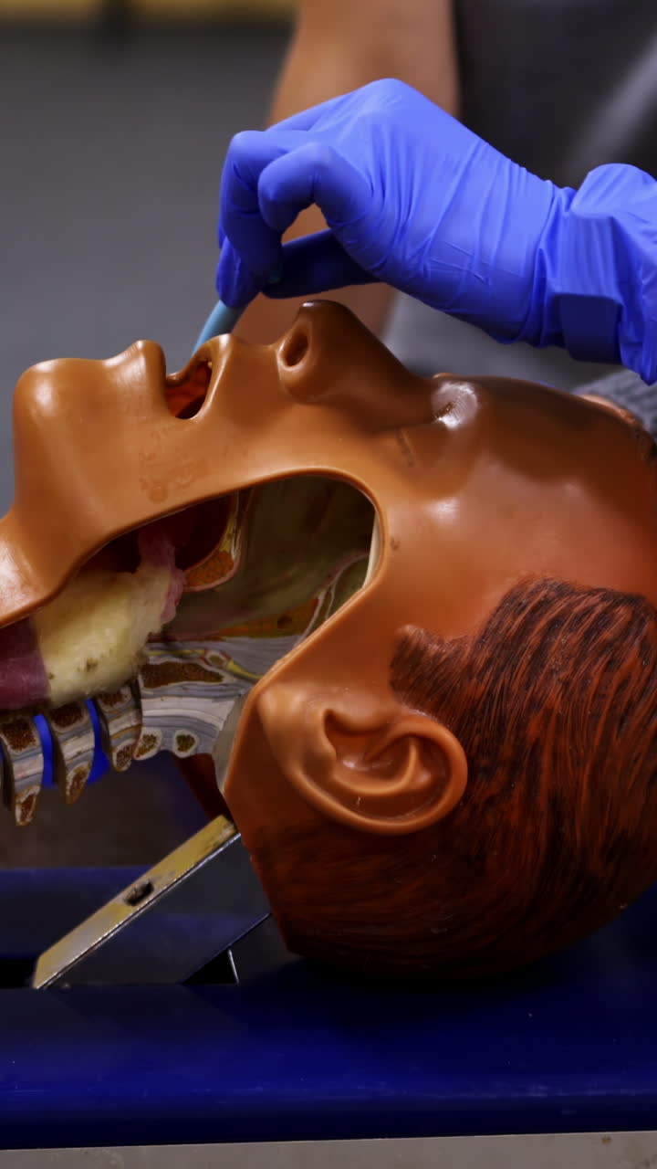 Reanimation training. Trainer demonstrates medical procedure on a dummy head. CPR procedure. Close-up. Vertical video