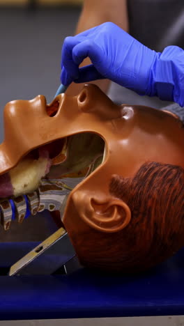 reanimation training. trainer demonstrates medical procedure on a dummy head. cpr procedure. close-up. vertical video