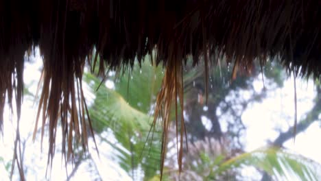 misty, foggy view of raindrops falling from thatched roof of remote beach hut during rainy downpour on a tropical island destination