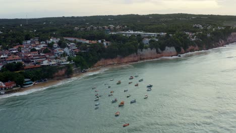 Toma-Aérea-Giratoria-De-Un-Grupo-De-Pequeños-Barcos-Pesqueros-Atracados-En-La-Playa-Tropical-De-Pipa-Durante-La-Marea-Alta-Rodeados-De-Grandes-Acantilados,-Casas-Y-Restaurantes-En-Río-Grande-Do-Norte,-Brasil