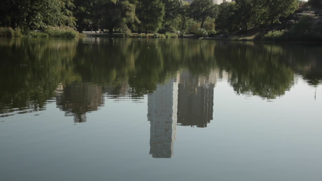 도시-2의 공원에 있는 연못에 반영된 고층 건물