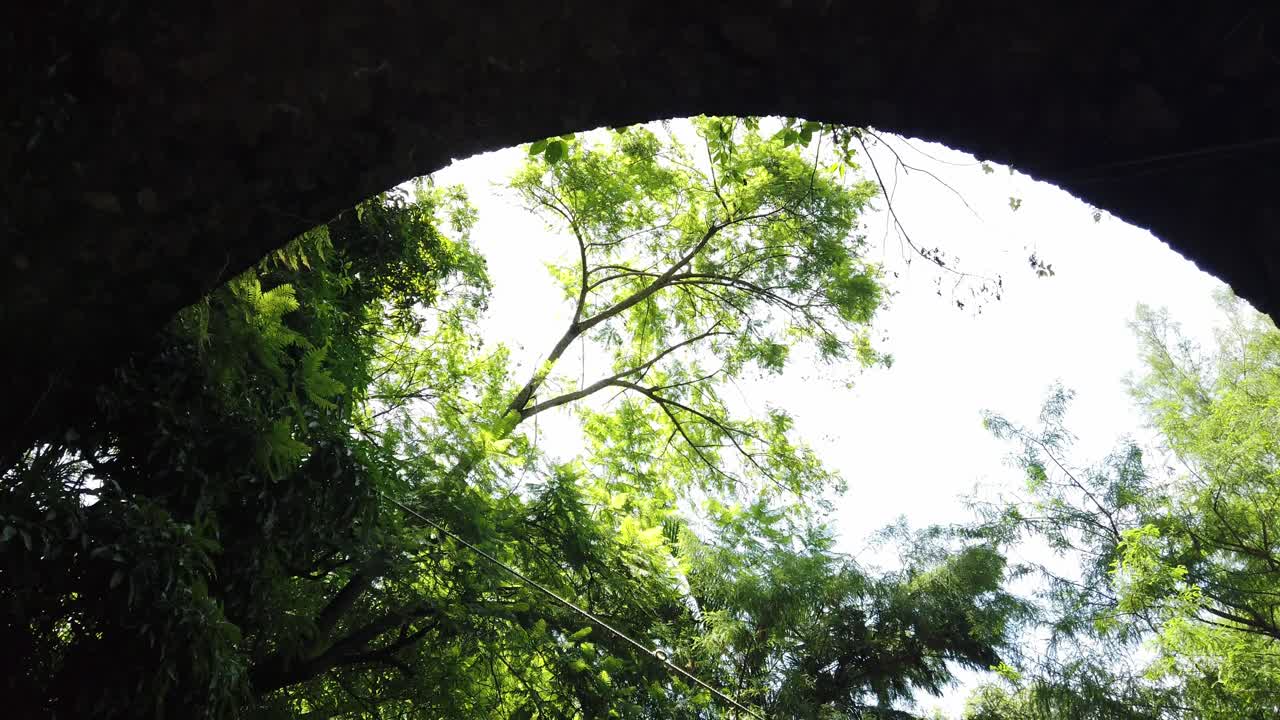 Low-angle movement under a stone bridge surrounded by lush green tropical vegetation. Bright sunlight filters through the trees