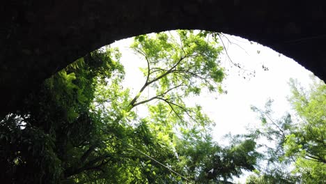 low-angle movement under a stone bridge surrounded by lush green tropical vegetation. bright sunlight filters through the trees