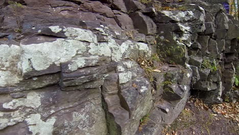 steadicam shot moves across shale outcrop covered with lichen to fern