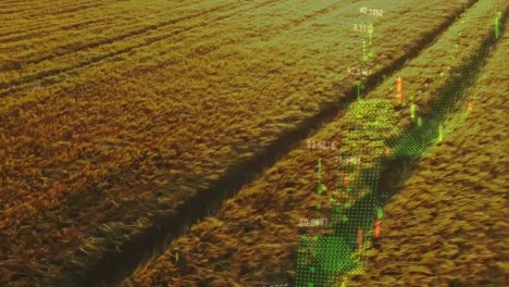 animation of financial data processing over agriculture field