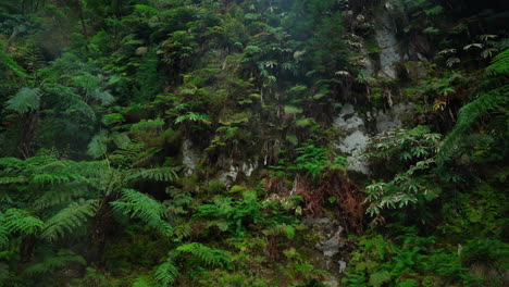 Close-up-shot-of-natural-geothermal-volcanic-hot-springs-surrounded-by-green-lush-vegetation