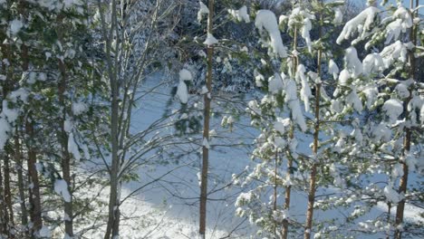 pov ski lifts snow covered slopes trees at ski resort panning left