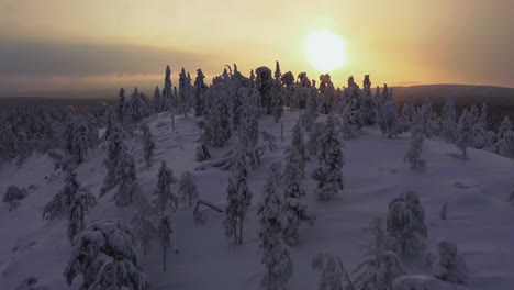 Aerial-view-rising-over-snowy-forest,-revealing-a-hazy-sun-above-fells-of-Lapland