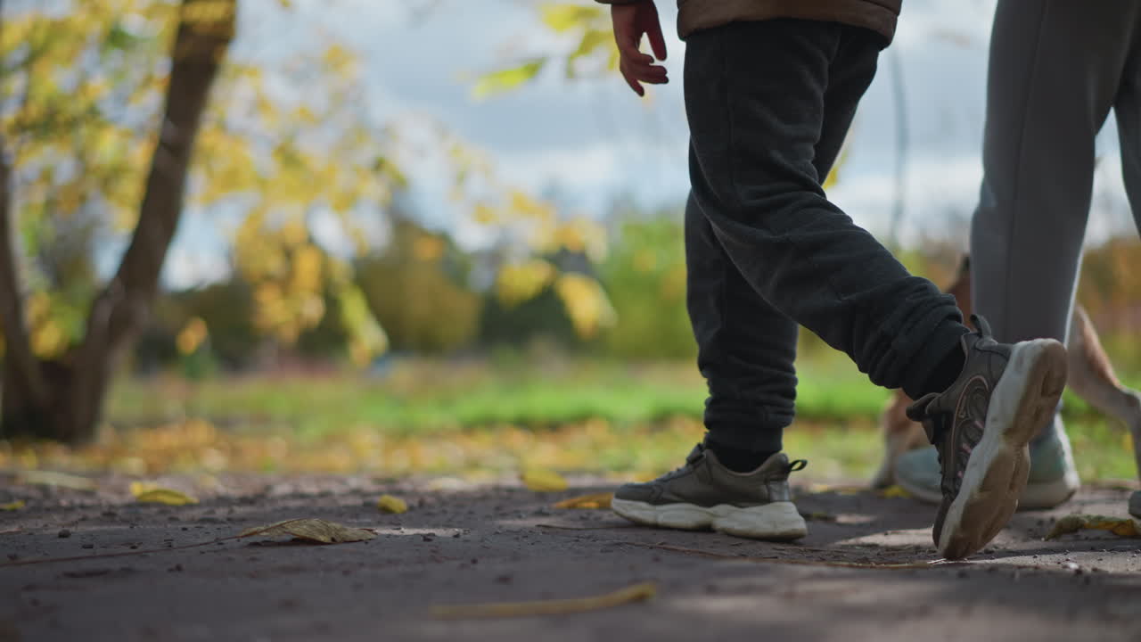 low angle side view of mother walking with child while conversing through colourful autumn meadow under cloudy sky wearing warm jackets beanie scarf backpack dog tail visible on path