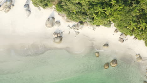 Vista-Aérea-Desde-Arriba-De-Una-Playa-Paradisíaca-Brasileña,-Isla-De-Campeche,-Florianópolis,-Santa-Catarina,-Brasil