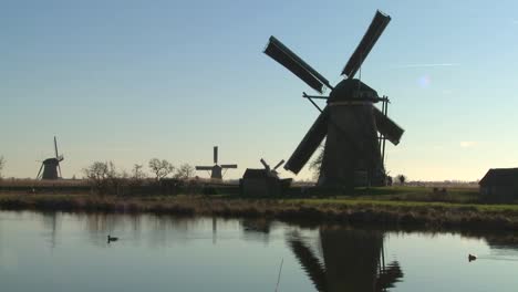 windmills line a canal in holland as ducks float by