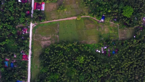 vista aérea de casas en medio de árboles verdes y campos en el campo, san bernardo en el sur de leyte, filipinas - disparo de drones
