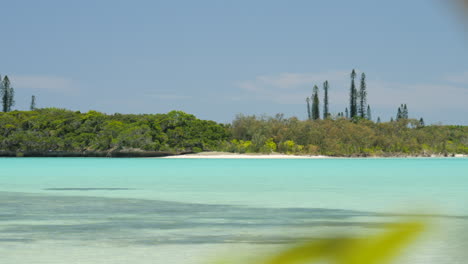 sliding from behind a tropical plant to reveal an amazing beach, crystal clear water of a lagoon and the shoreline on the isle of pines