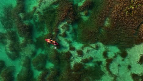 vista aérea de personas en kayak en las aguas poco profundas de los rápidos de bacalar, en el soleado méxico - cenital, disparo de drones