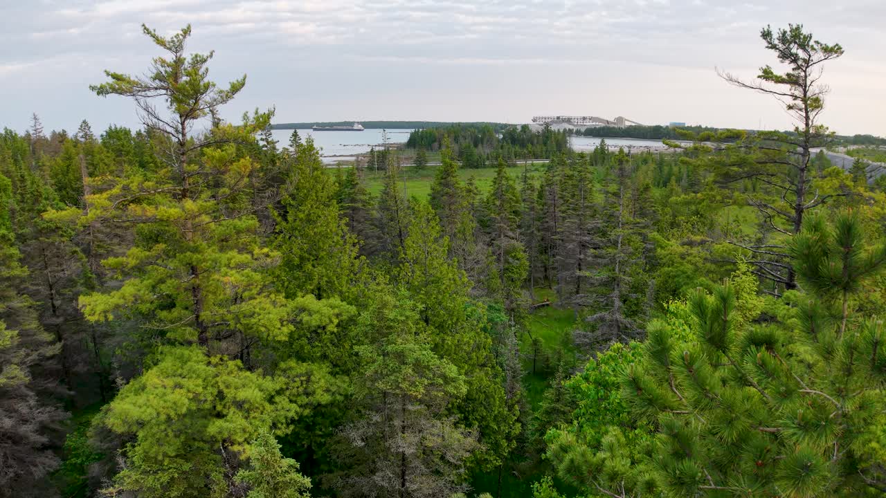 Aerial drone view of a lush forest landscape with green trees stretching toward a distant lake horizon