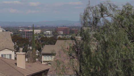 suburban long beach, ca from a hilltop