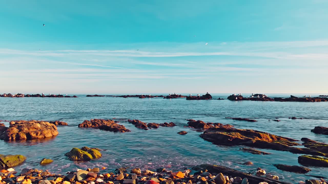 조용한 바위 해변에서 다채로운 하루