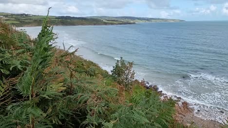 looking across windy fern covered hillside to sunny lligwy beach welsh bay coastline