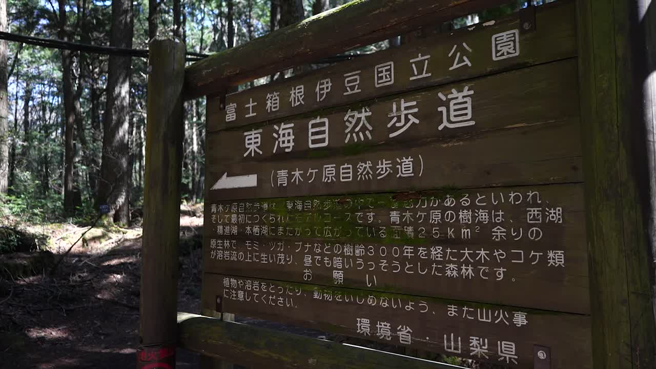 el bosque de aokigahara, el mar de árboles o el bosque suicida, fuji