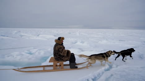 dog sledding across a vast arctic landscape