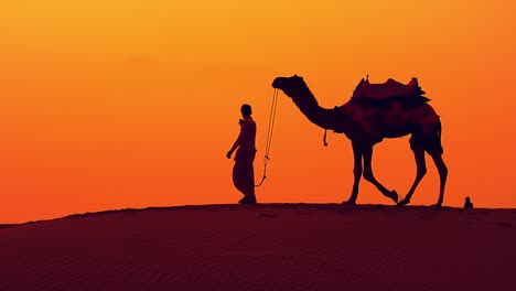 Kameltreiber,-Kameltreiber-Bei-Sonnenuntergang.-Thar-Wüste-Bei-Sonnenuntergang-Jaisalmer,-Rajasthan,-Indien.