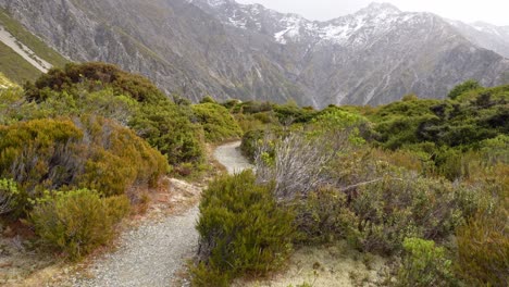hiking trails through mount cook, southern alps, south island, new zealand